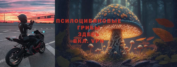 бутират Арсеньев
